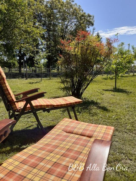 B&B Alla Bon'Ora Volpago del Montello Екстериор снимка